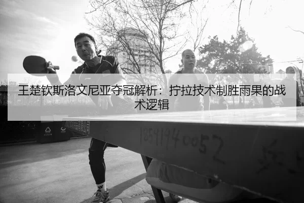 wang-chu-qin-si-luo-wen-ni-ya-duo-guan-jie-xi-ning-la-ji-shu-zhi-sheng-yu-guo-de-zhan-shu-luo-ji-2-315.jpg